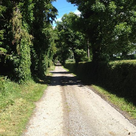 Ballindrum Farm B&B Athy Exterior photo