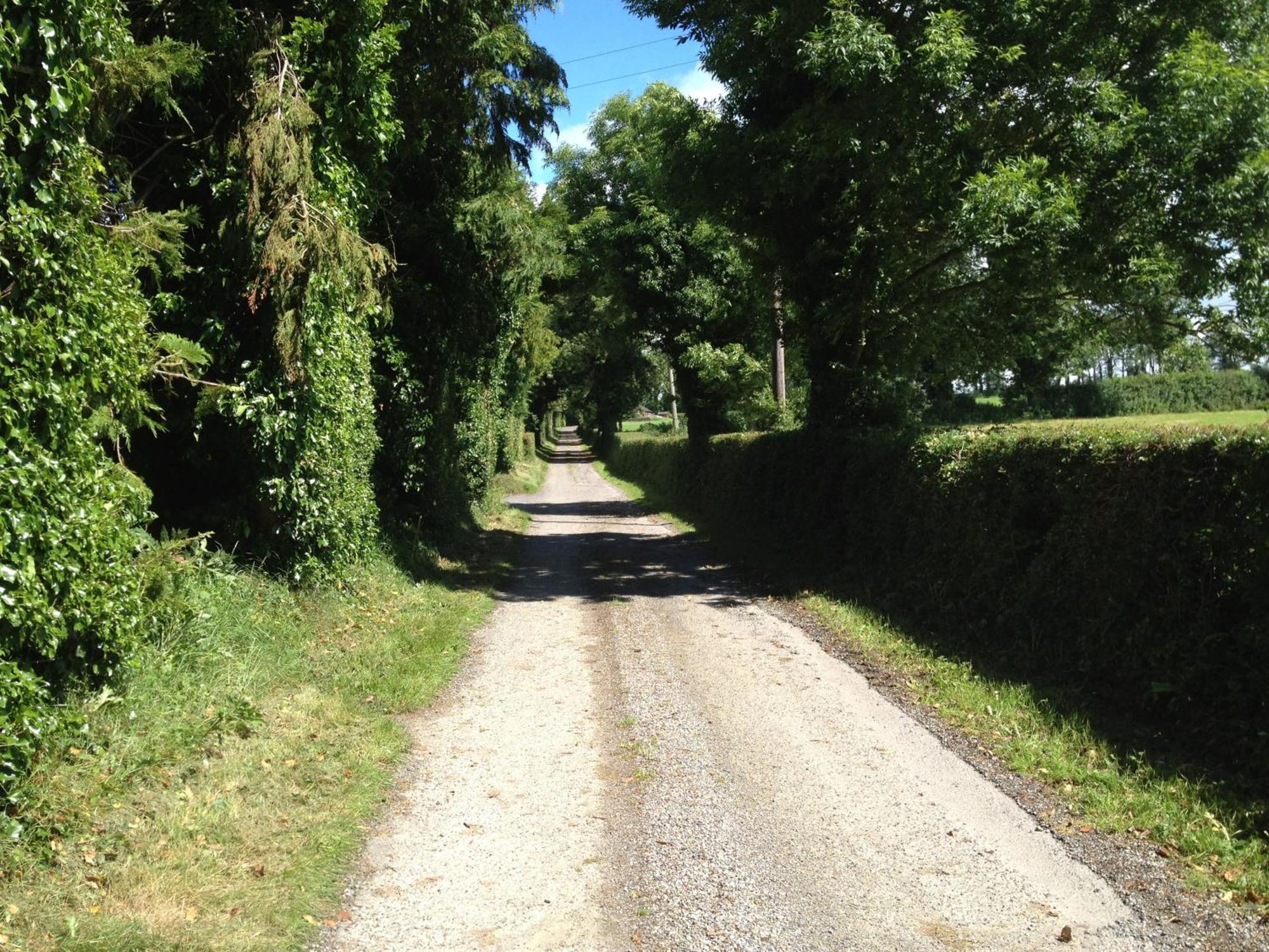 Ballindrum Farm B&B Athy Exterior photo
