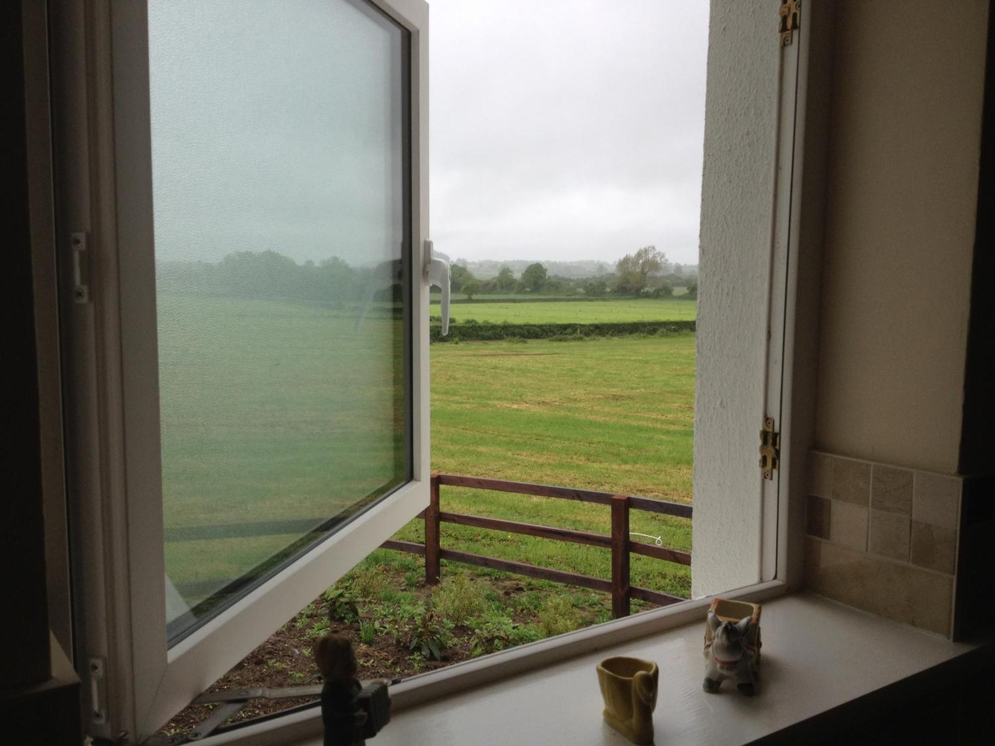 Ballindrum Farm B&B Athy Exterior photo