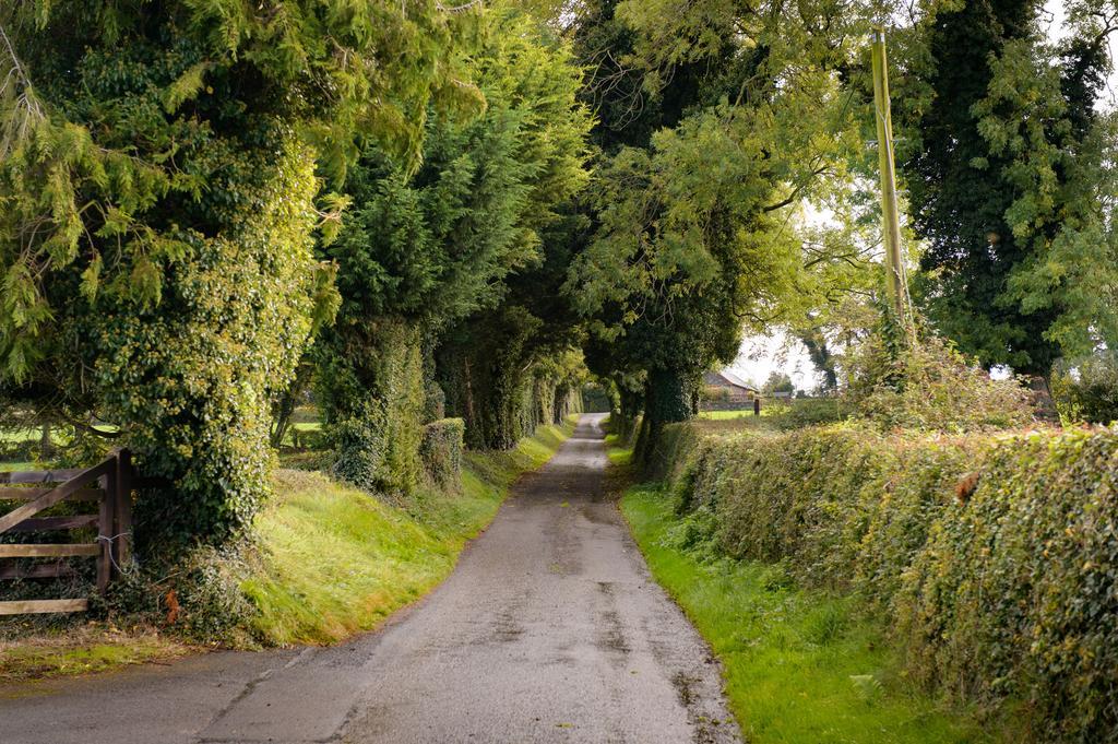 Ballindrum Farm B&B Athy Exterior photo
