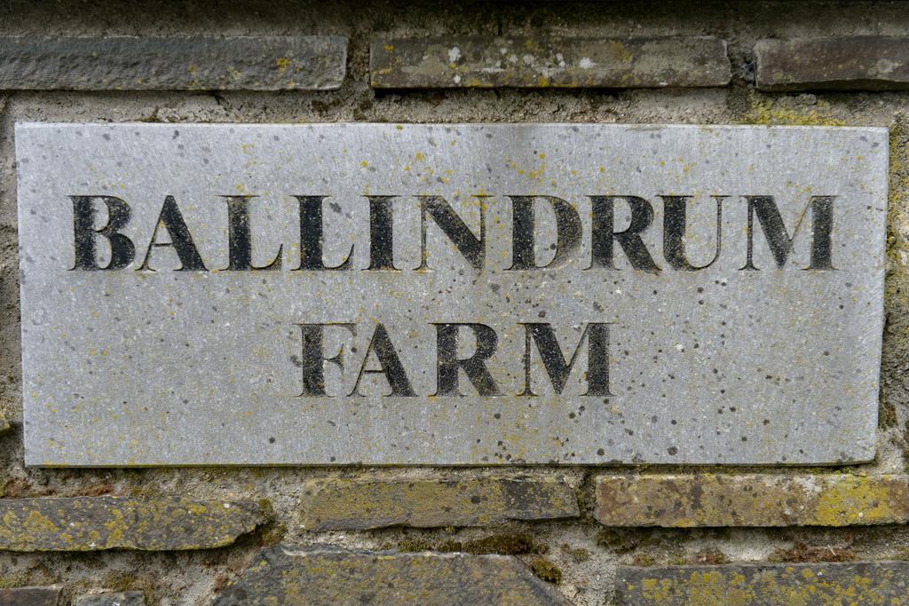 Ballindrum Farm B&B Athy Exterior photo