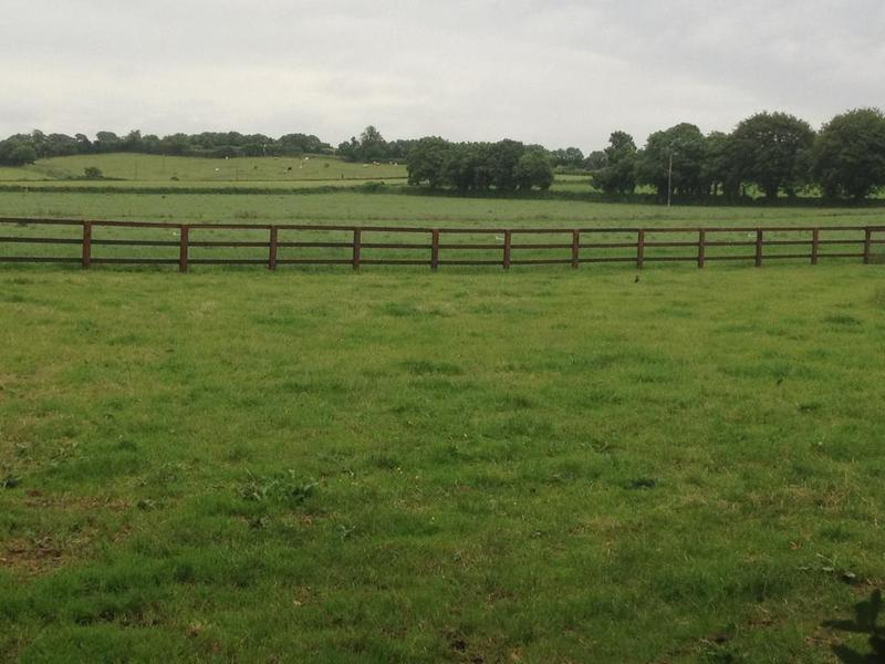 Ballindrum Farm B&B Athy Exterior photo