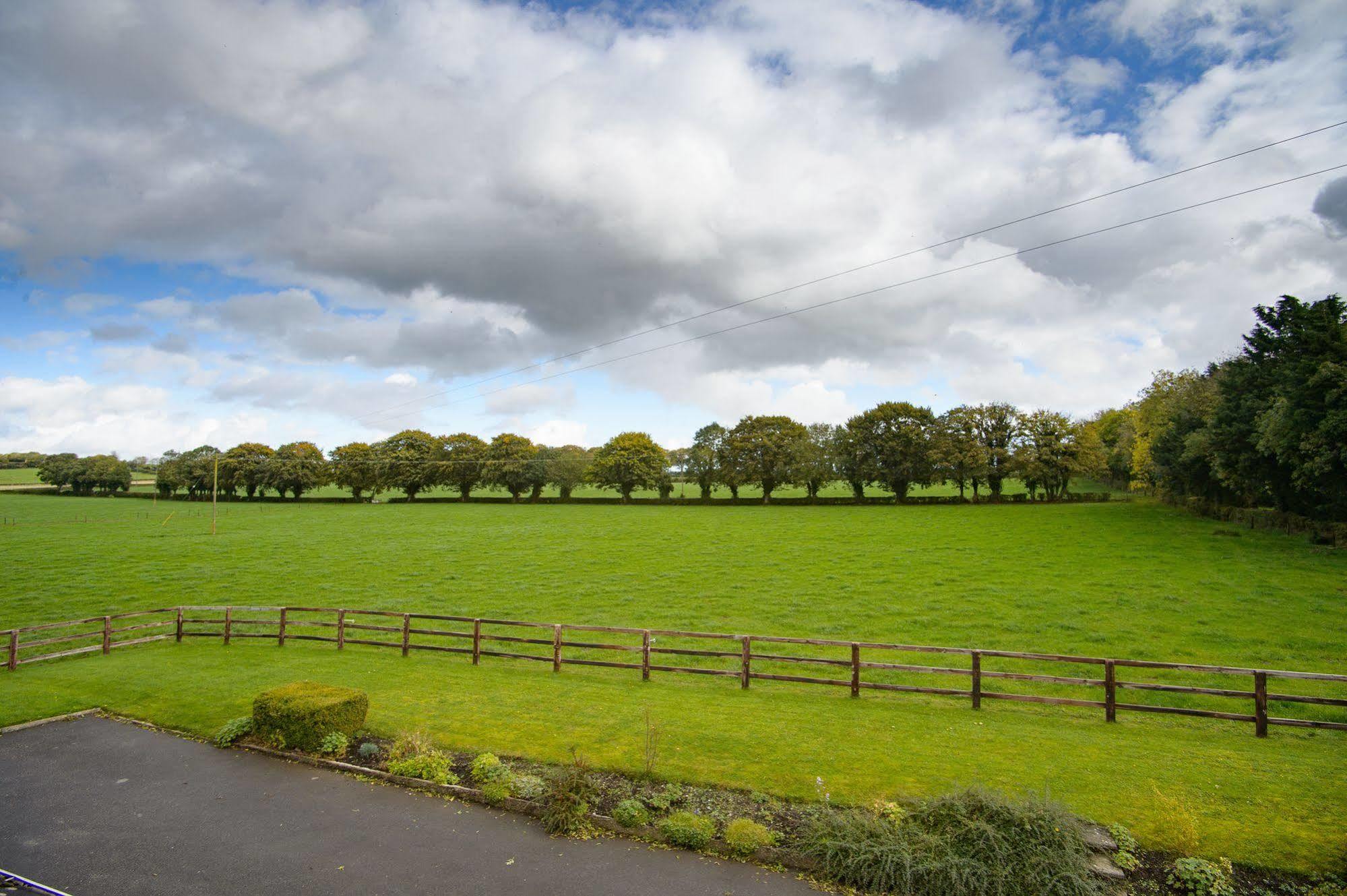 Ballindrum Farm B&B Athy Exterior photo